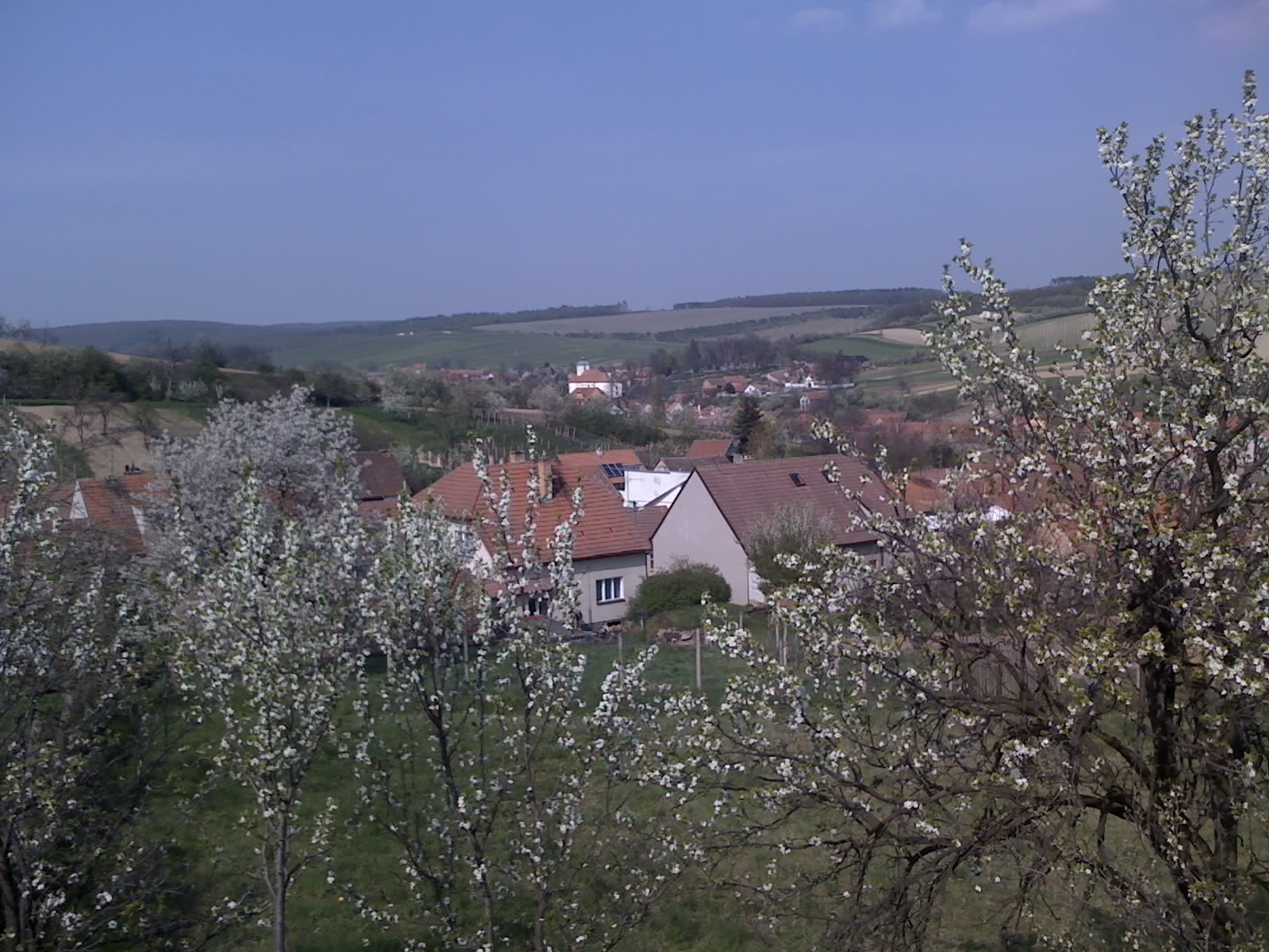 25-04-10_1526.jpg