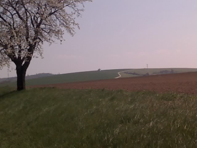 25-04-10_1357.jpg